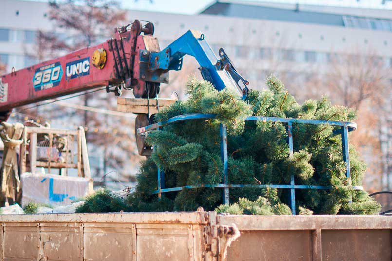 Как устанавливают и монтируют городские елки к новогодним праздникам?