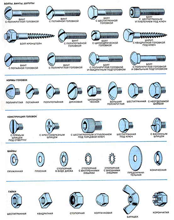 Виды винтов и болтов с картинками