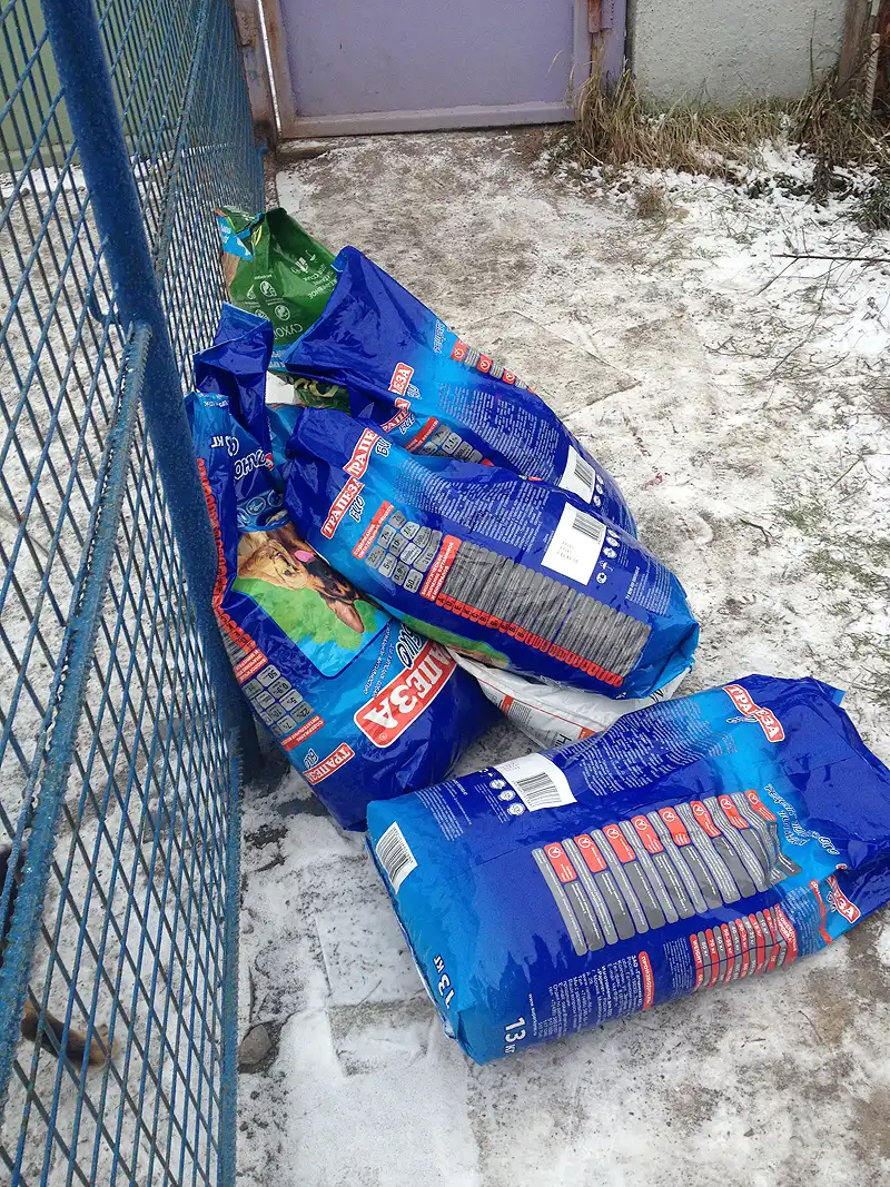 шефство над приютом для бездомных животных