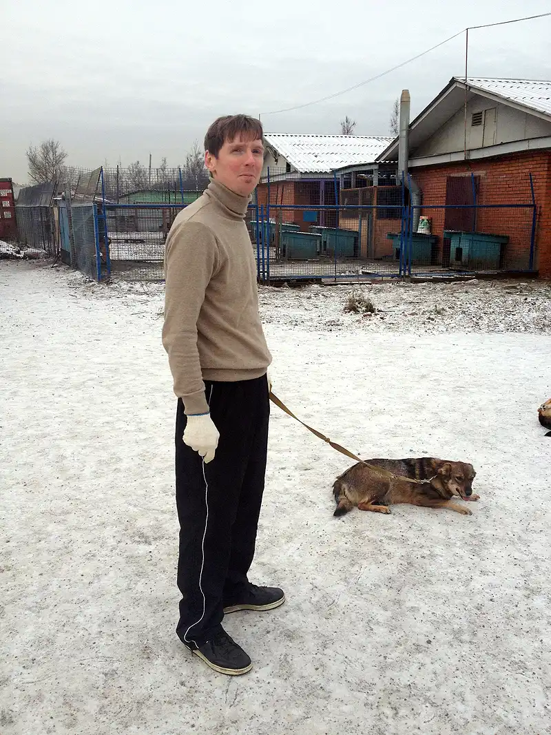 шефство над приютом для бездомных животных