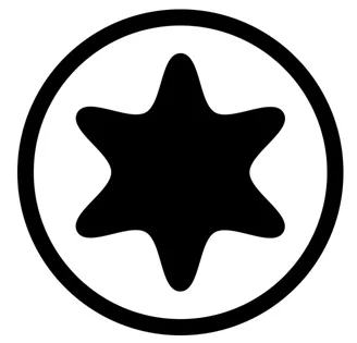 Фото головка Torx