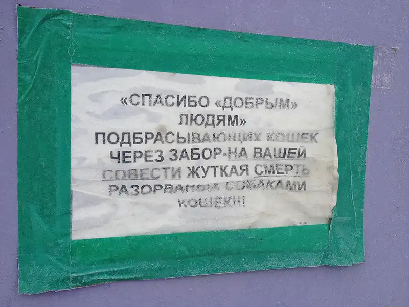 шефство над приютом для бездомных животных