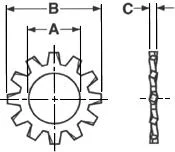 External_Tooth