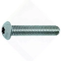 ISO 7380 10.9 Винт с полукруглой головкой шлиц TORX, цинк M 5 x 35 (500 шт.) Европа