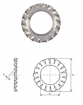DIN 6798 Form A Шайба стопорная с упругими зубцами, бронза CuSn8 A5,3 PU=S (1000 шт.) Европа