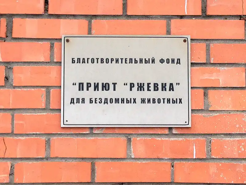 шефство над приютом для бездомных животных