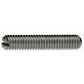DIN 551 14 H Винт установочный с прямым шлицем и плоским концом M 8 x 10 PU=K (100 шт.) Европа