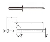 ISO 15981